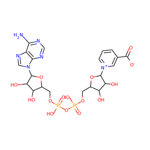 Nicotinic acid adenine dinucleotide